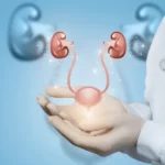 الإلتهاب الكلوي